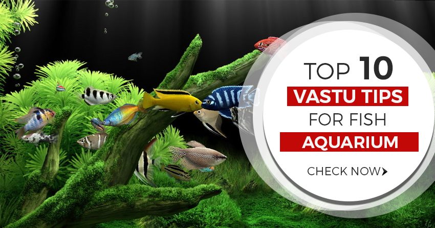 Top 10 Vastu Tips for Fish Aquarium in Home