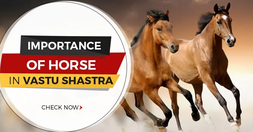 Importance of Horse in Vastu Shastra