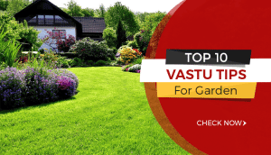 Vastu tips for garden